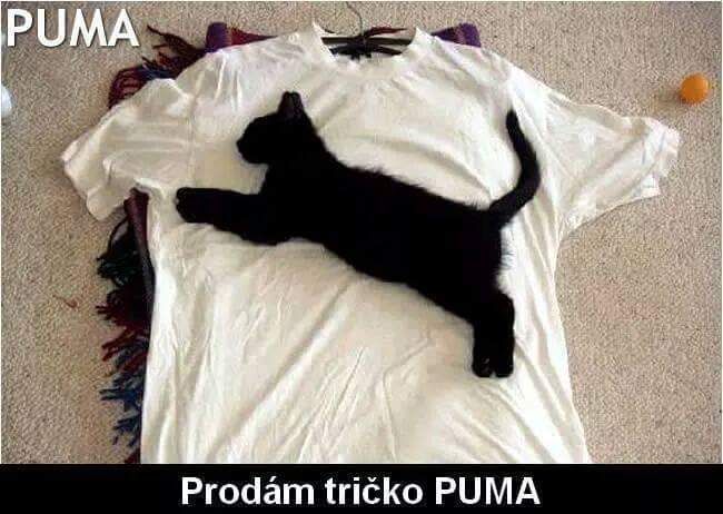 kliknutím fotku zvětšíte