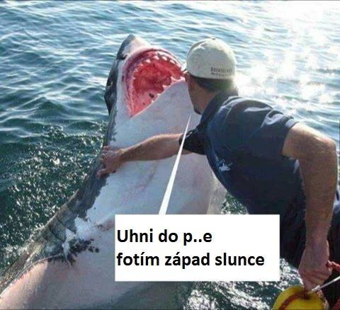 kliknutím fotku zvětšíte