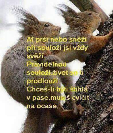kliknutím fotku zvětšíte
