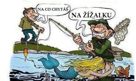 kliknutím fotku zvětšíte