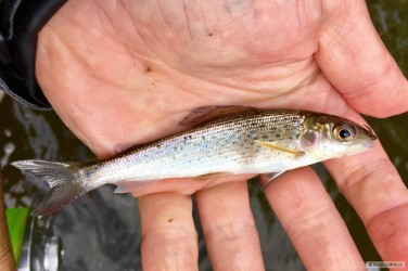 kliknutím fotku zvětšíte
