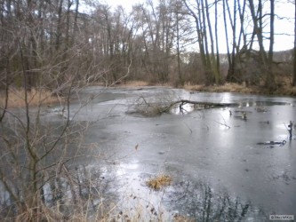 kliknutím fotku zvětšíte