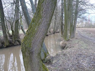 kliknutím fotku zvětšíte