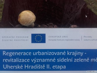 kliknutím fotku zvětšíte