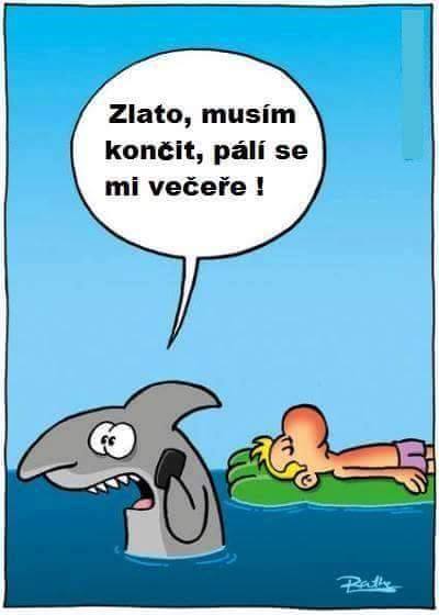 kliknutím fotku zvětšíte