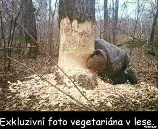 kliknutím fotku zvětšíte