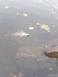 kliknutím fotku zvětšíte