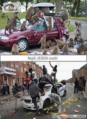 kliknutím fotku zvětšíte