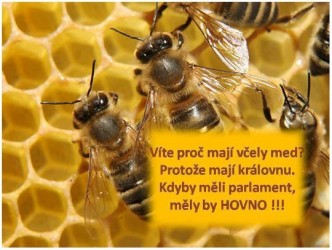 kliknutím fotku zvětšíte