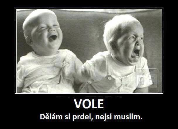 kliknutím fotku zvětšíte