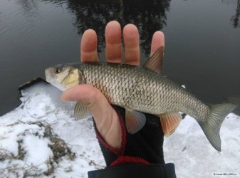 kliknutím fotku zvětšíte
