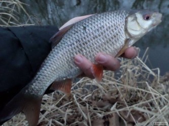 kliknutím fotku zvětšíte