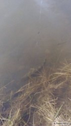 kliknutím fotku zvětšíte