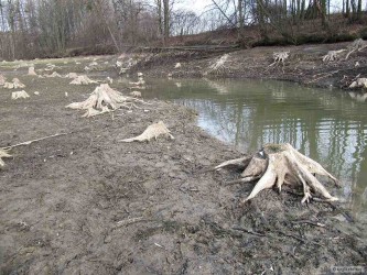 kliknutím fotku zvětšíte