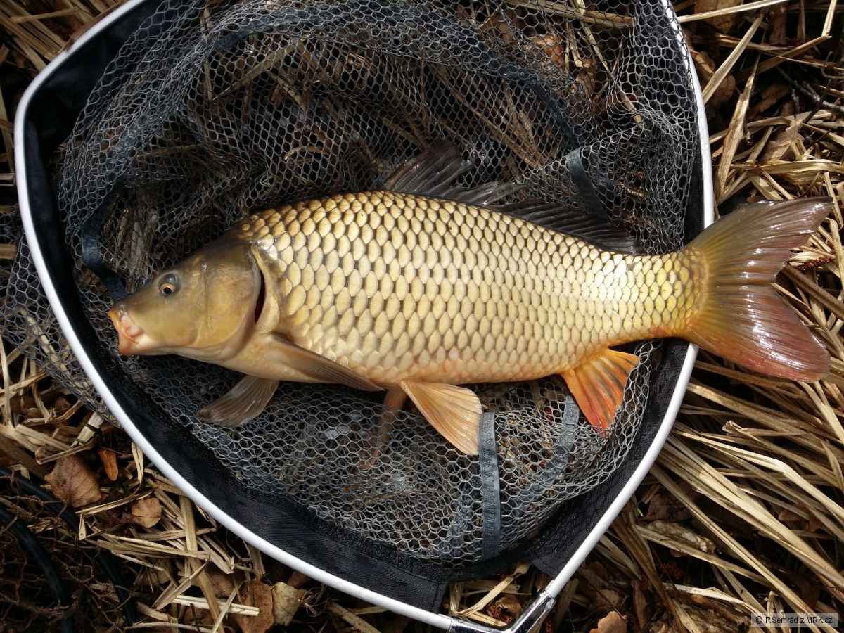 kliknutím fotku zvětšíte