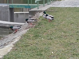 kliknutím fotku zvětšíte