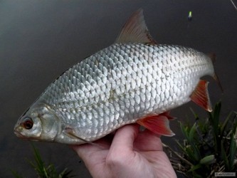 kliknutím fotku zvětšíte