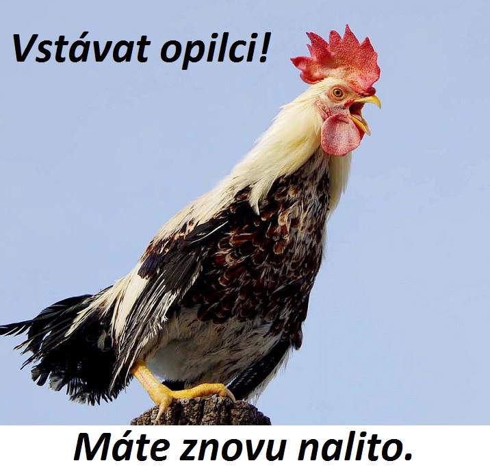 kliknutím fotku zvětšíte