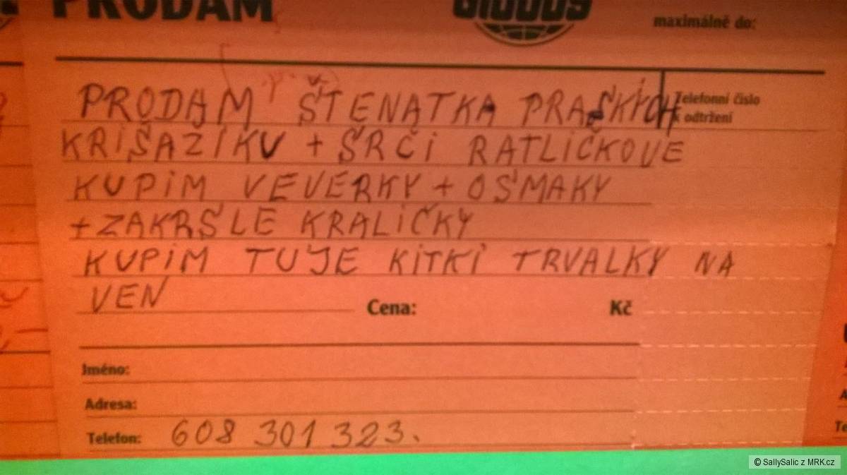 kliknutím fotku zvětšíte