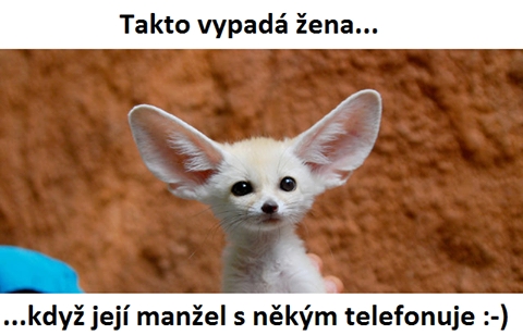 kliknutím fotku zvětšíte
