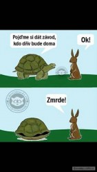 kliknutím fotku zvětšíte