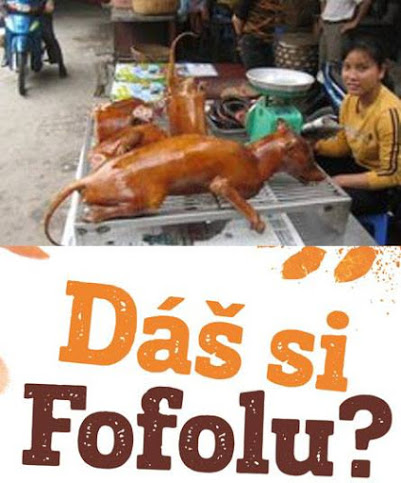 kliknutím fotku zvětšíte