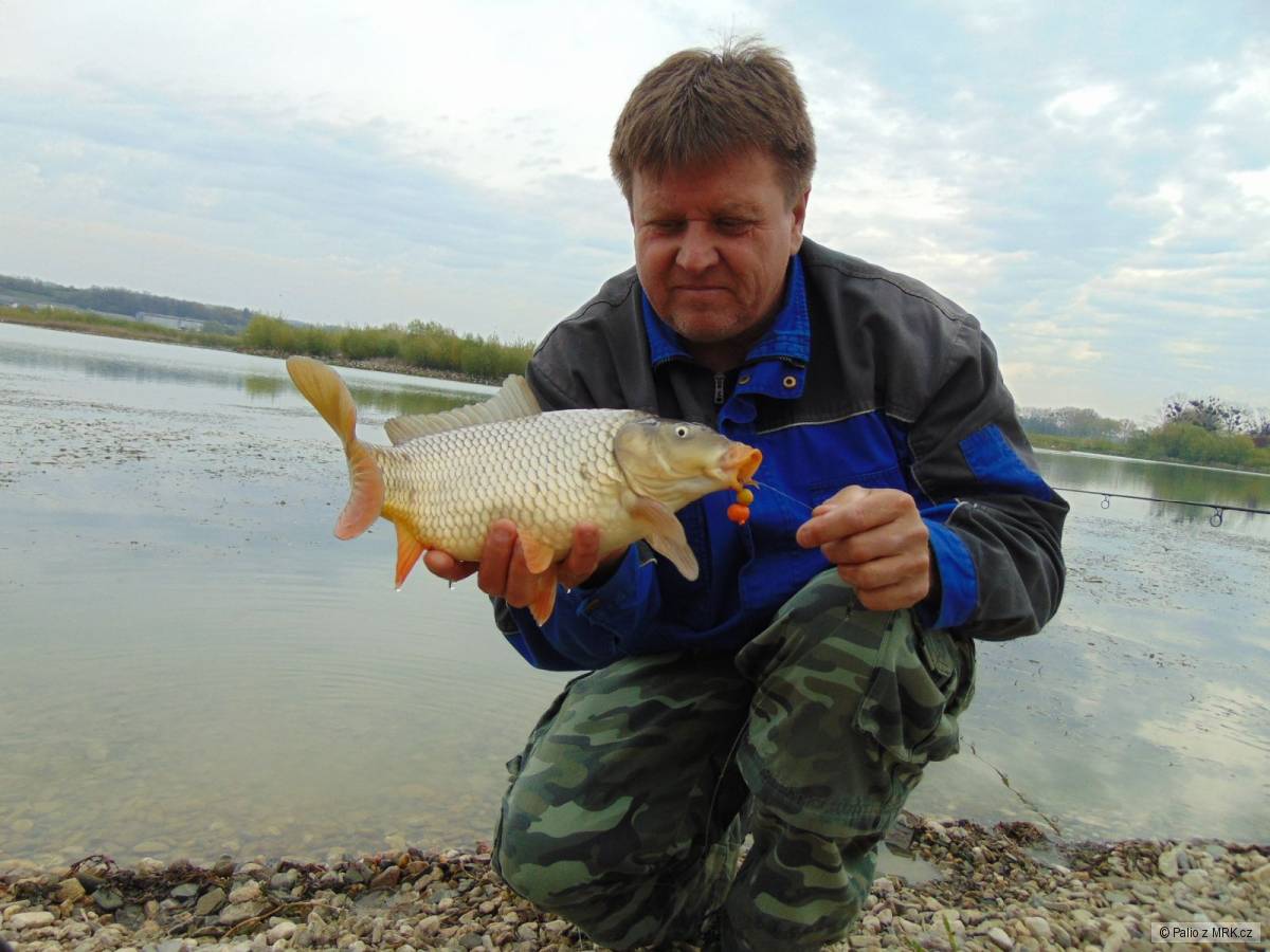 kliknutím fotku zvětšíte