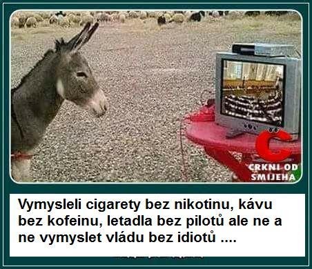 kliknutím fotku zvětšíte