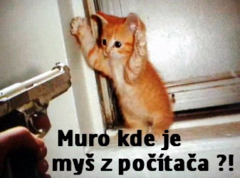kliknutím fotku zvětšíte