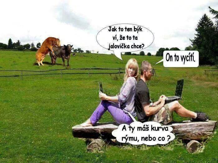 kliknutím fotku zvětšíte