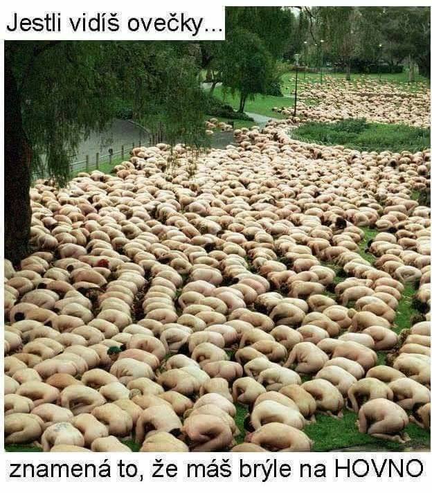 kliknutím fotku zvětšíte