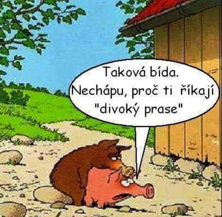 kliknutím fotku zvětšíte
