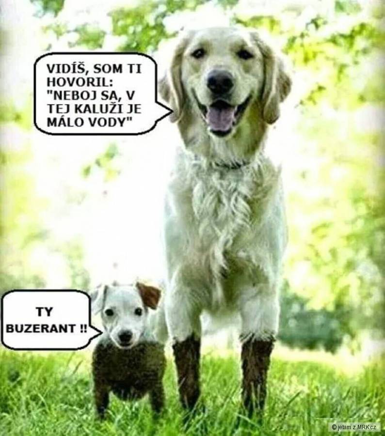 kliknutím fotku zvětšíte