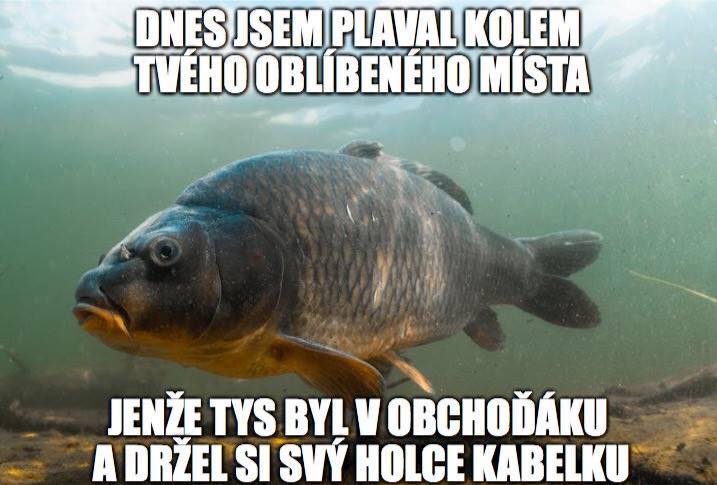 kliknutím fotku zvětšíte