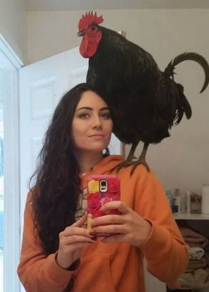 kliknutím fotku zvětšíte