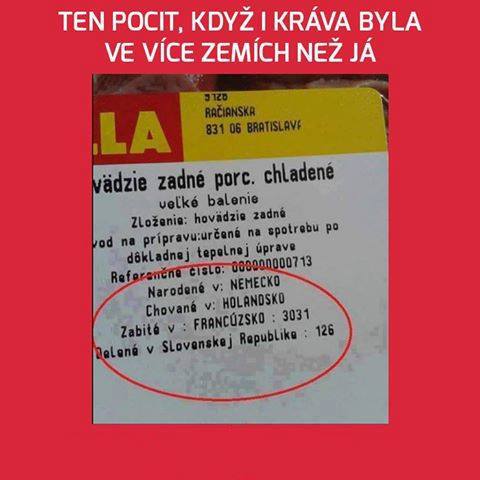 kliknutím fotku zvětšíte