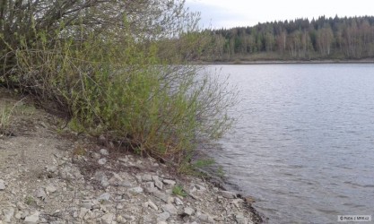 kliknutím fotku zvětšíte