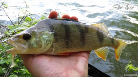 kliknutím fotku zvětšíte