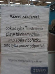 kliknutím fotku zvětšíte