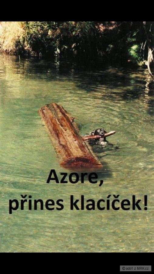 kliknutím fotku zvětšíte