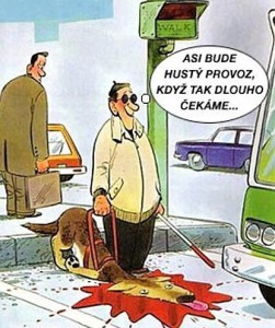 kliknutím fotku zvětšíte