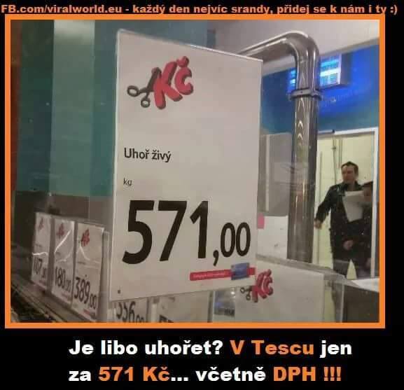 kliknutím fotku zvětšíte