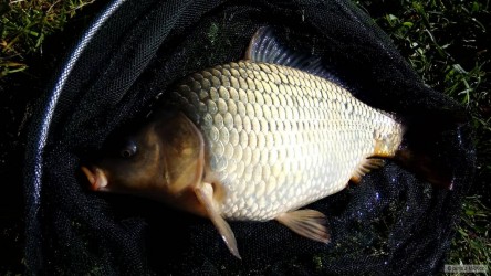 kliknutím fotku zvětšíte