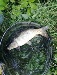 kliknutím fotku zvětšíte
