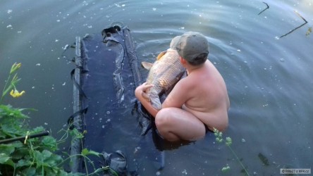 kliknutím fotku zvětšíte
