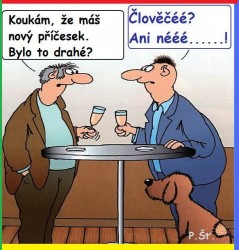 kliknutím fotku zvětšíte