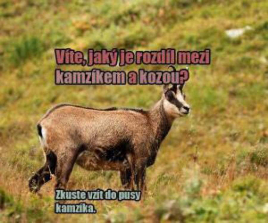 kliknutím fotku zvětšíte