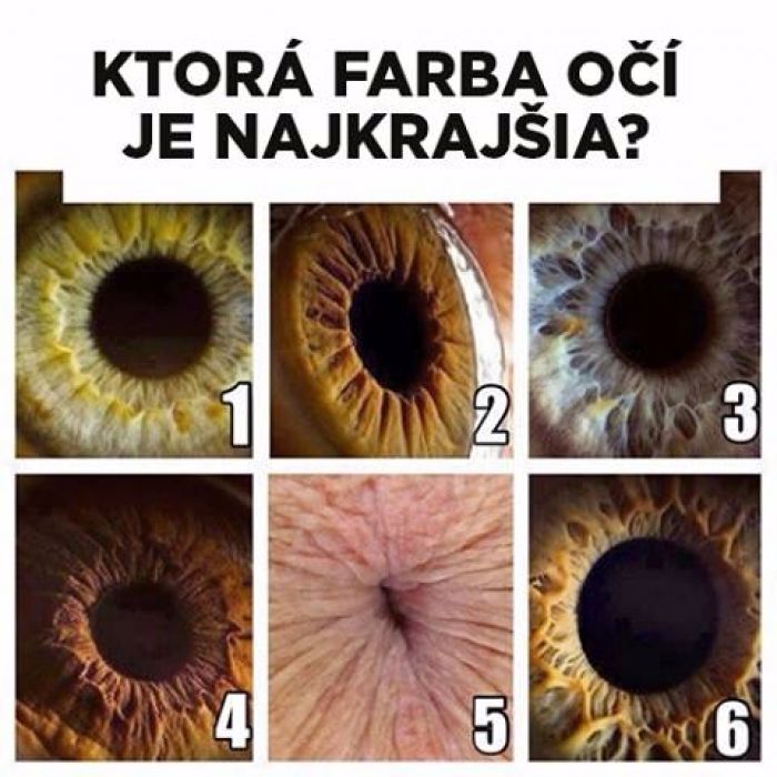 kliknutím fotku zvětšíte