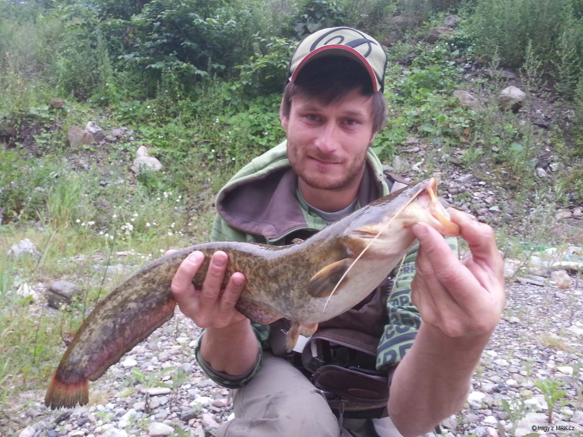 kliknutím fotku zvětšíte