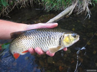 kliknutím fotku zvětšíte